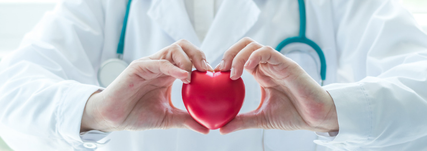 All You Need To Know About Cardiovascular Diseases