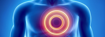 Chirurgie de Remplacement de Valve Minimalement Invasive (Aortic-Mitral)