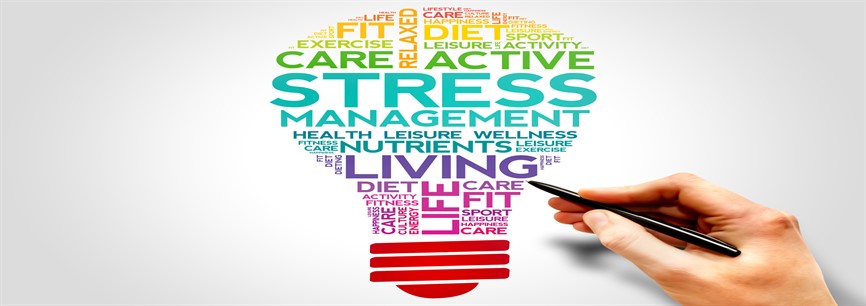 What Happens To Your Body When You Are Stressed?